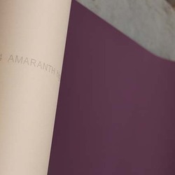 AMARANTH HIGH SPEED 4T